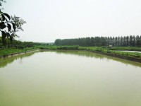 企業(yè)環(huán)境